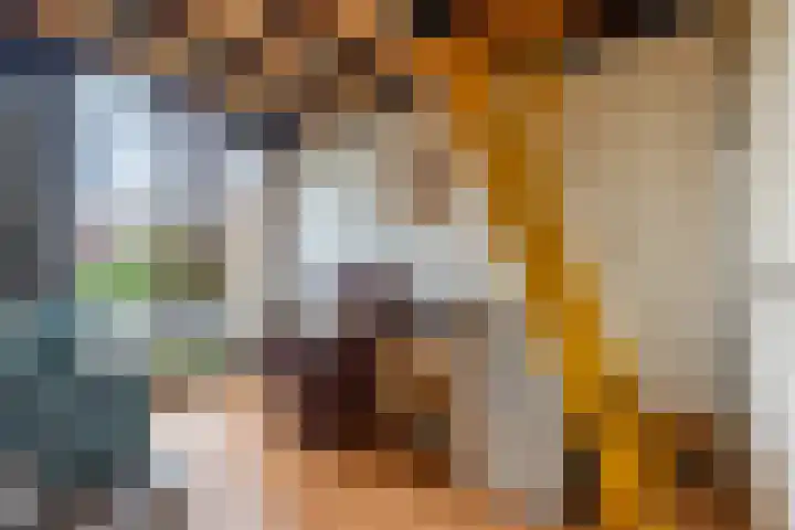 Het Schol 13 Almelo thumbnail 27