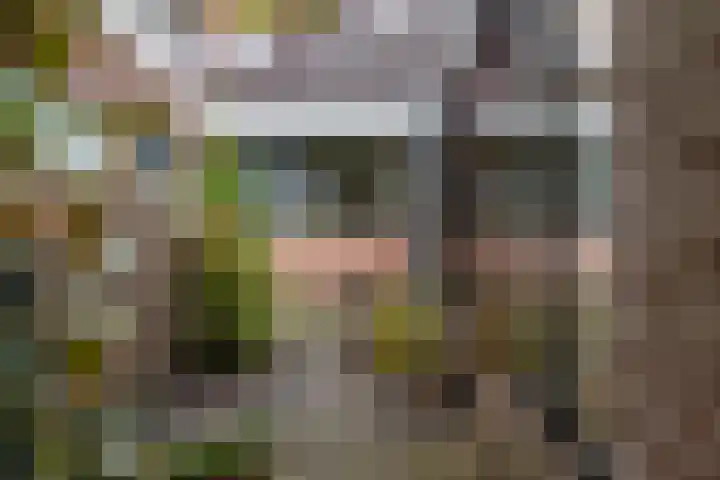 Het Schol 13 Almelo thumbnail 29