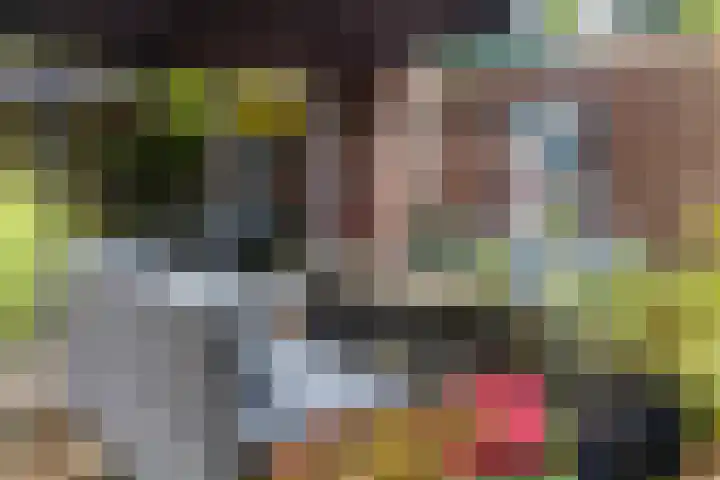 Het Schol 13 Almelo thumbnail 33
