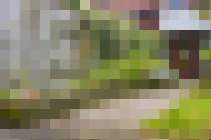Het Schol 13 Almelo thumbnail 36