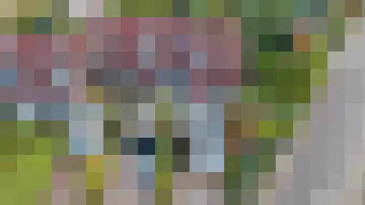 Het Schol 13 Almelo thumbnail 38