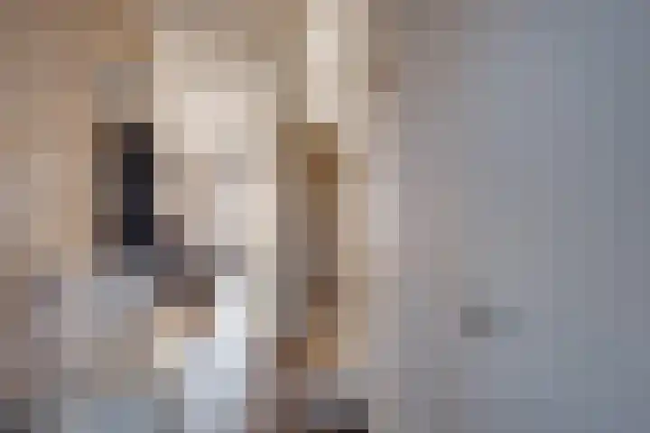 Het Schoneveld 15 Laren thumbnail 12