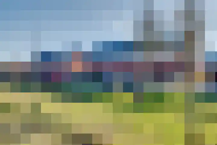 Het Schoneveld 15 Laren thumbnail 25