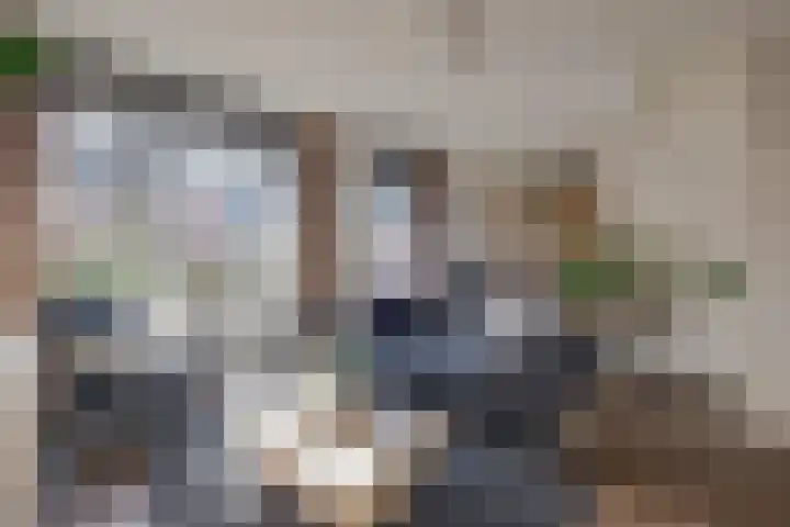 Het Schoneveld 15 Laren thumbnail 6