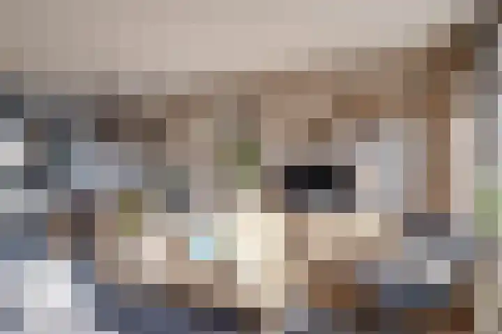 Het Schoneveld 15 Laren thumbnail 7