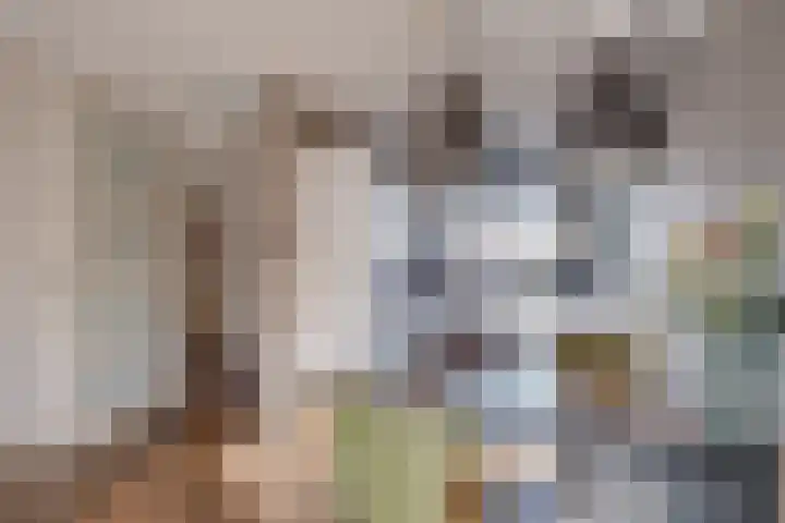 Het Schoneveld 15 Laren thumbnail 8