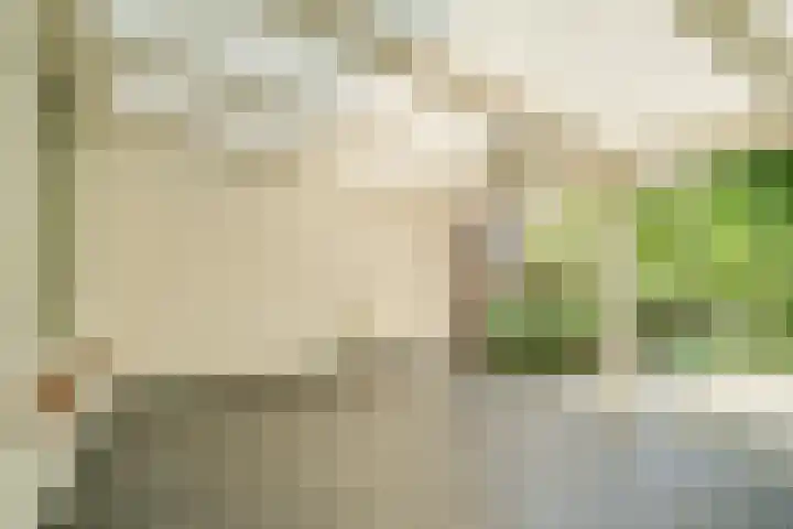 Het Schoor 7 Wessem thumbnail 11
