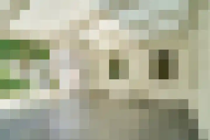 Het Schoor 7 Wessem thumbnail 13