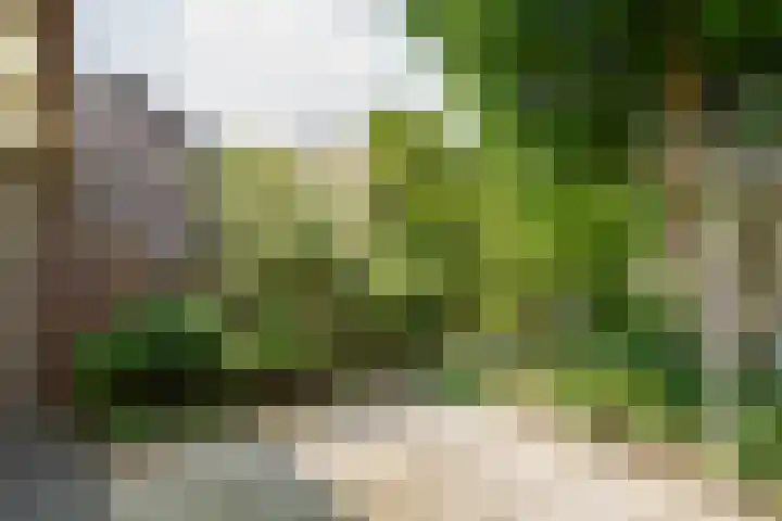 Het Schoor 7 Wessem thumbnail 14