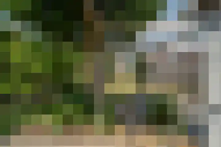 Het Schoor 7 Wessem thumbnail 15