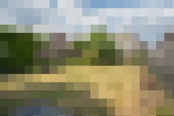 Het Schoor 7 Wessem thumbnail 16
