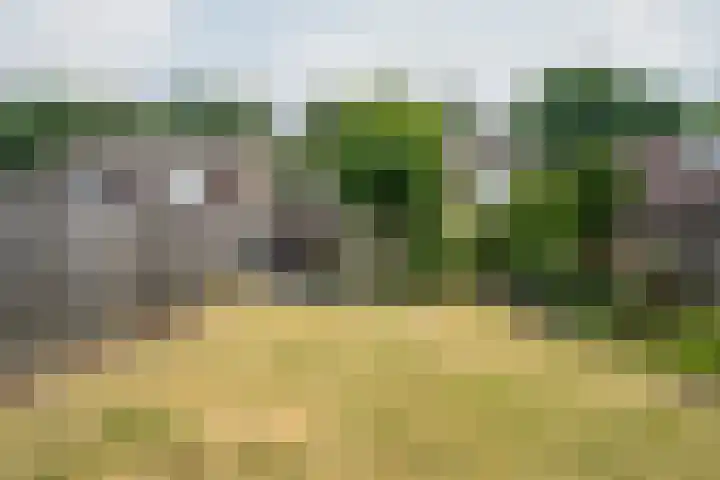 Het Schoor 7 Wessem thumbnail 17