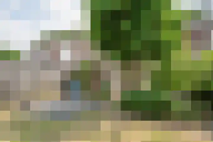 Het Schoor 7 Wessem thumbnail 18