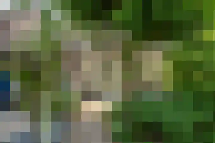 Het Schoor 7 Wessem thumbnail 19