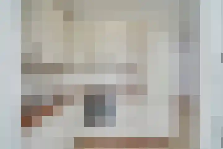 Het Schoor 7 Wessem foto 2