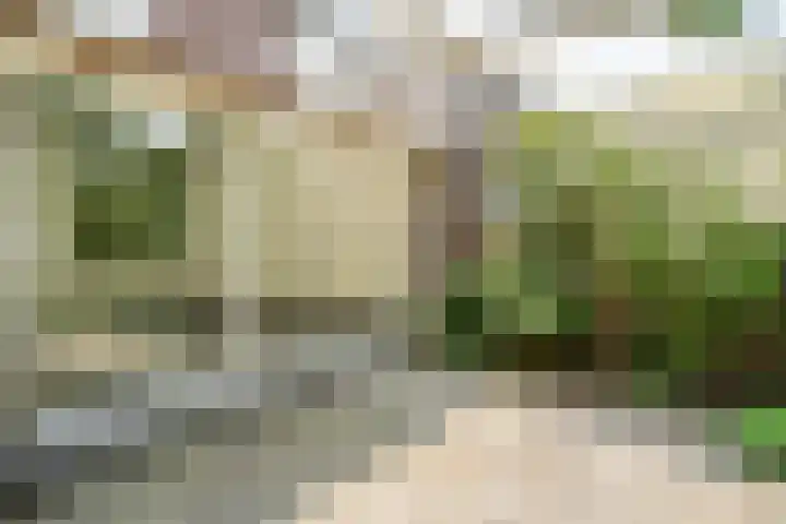 Het Schoor 7 Wessem thumbnail 20