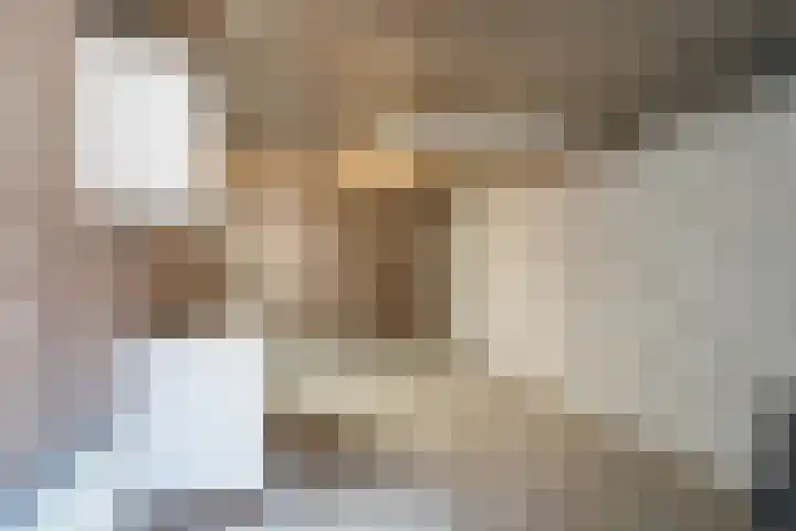 Het Schoor 7 Wessem thumbnail 21