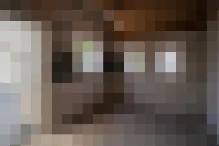 Het Schoor 7 Wessem thumbnail 22