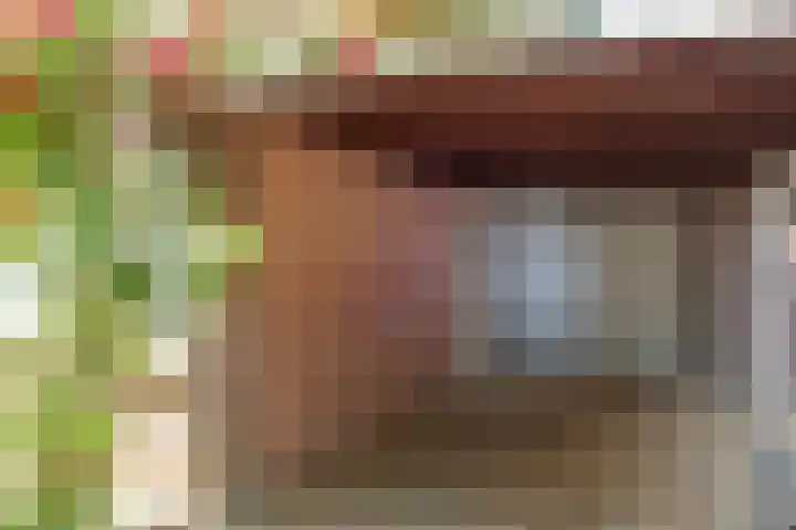 Het Schoor 7 Wessem foto 3