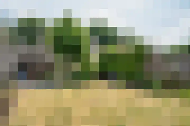 Het Schoor 7 Wessem thumbnail 33