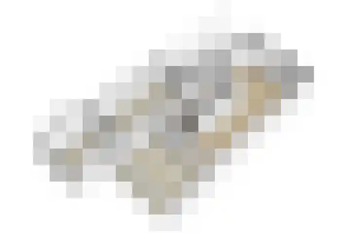 Het Schoor 7 Wessem thumbnail 35