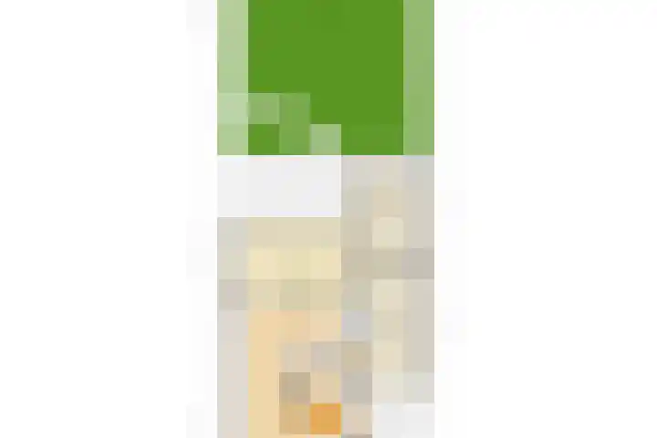 Het Schoor 7 Wessem thumbnail 41