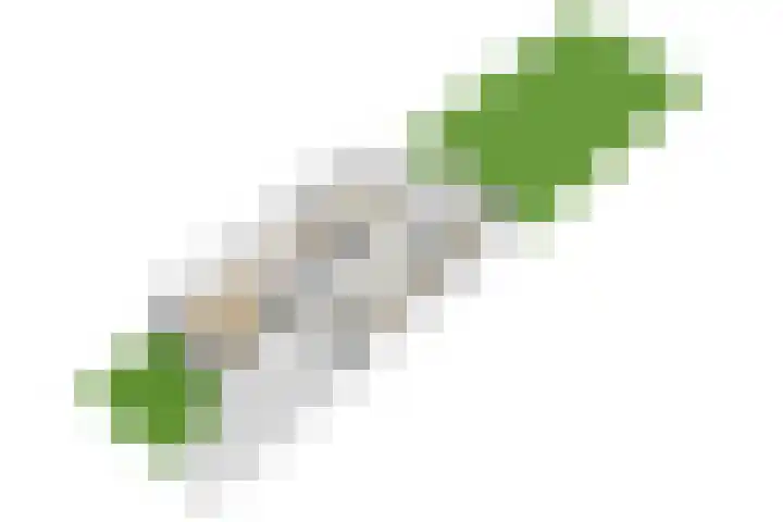 Het Schoor 7 Wessem thumbnail 43