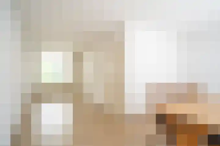 Het Schoor 7 Wessem thumbnail 5
