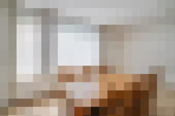 Het Schoor 7 Wessem thumbnail 6