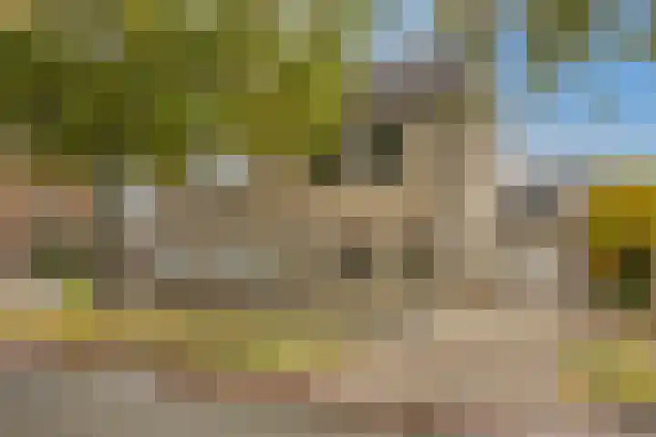 Het Schut 73 Schoonebeek thumbnail 11