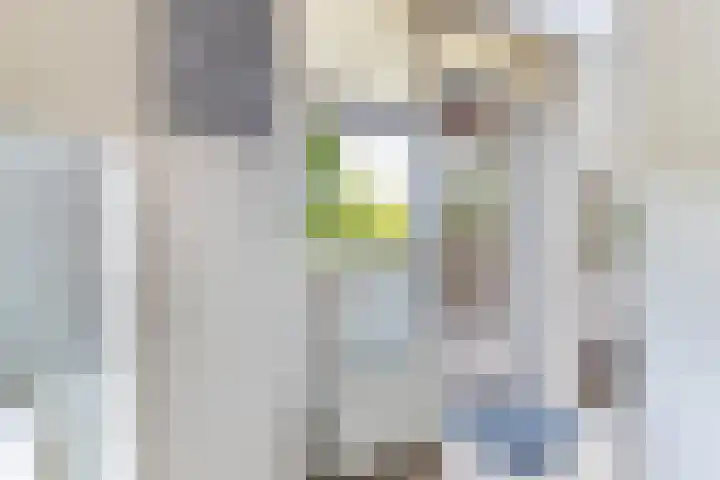 Het Schut 73 Schoonebeek thumbnail 12
