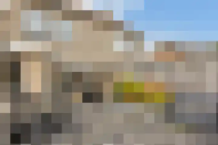 Het Schut 73 Schoonebeek thumbnail 13