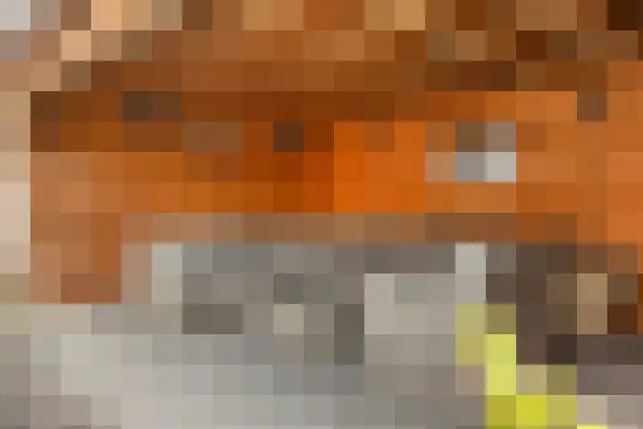 Het Schut 73 Schoonebeek thumbnail 15