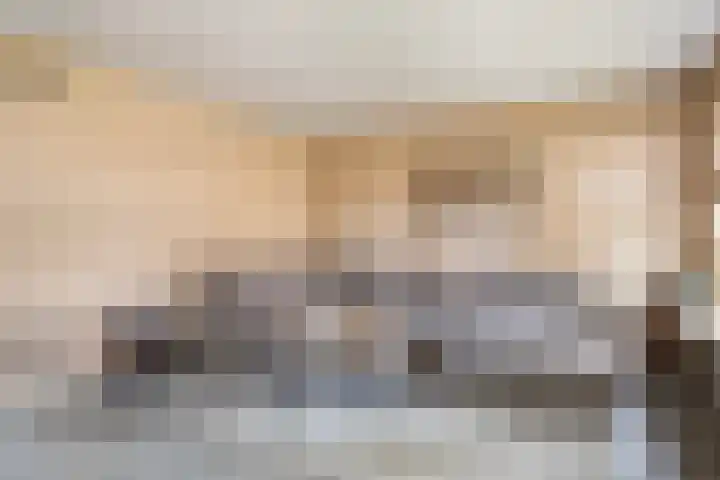 Het Schut 73 Schoonebeek thumbnail 18