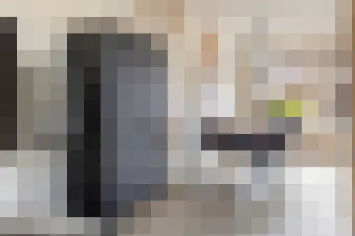 Het Schut 73 Schoonebeek thumbnail 20