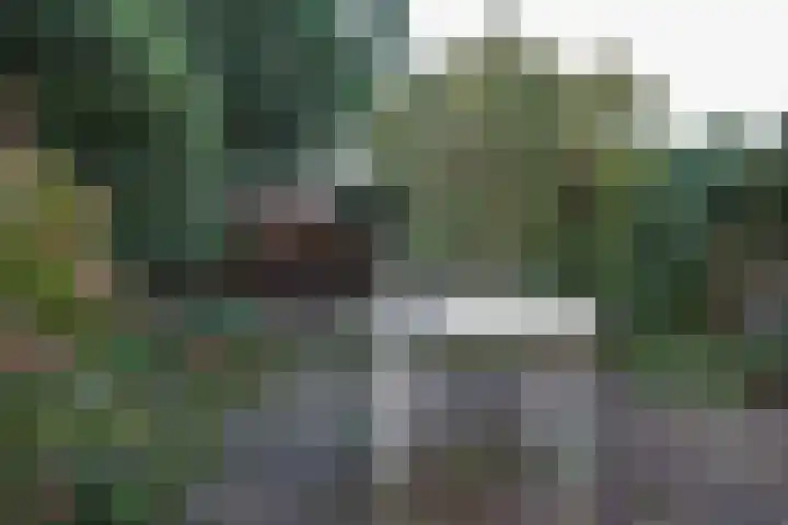 Het Schut 73 Schoonebeek thumbnail 25