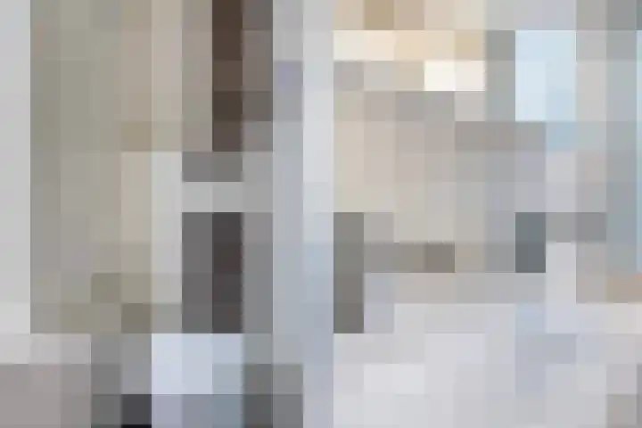 Het Schut 73 Schoonebeek thumbnail 33