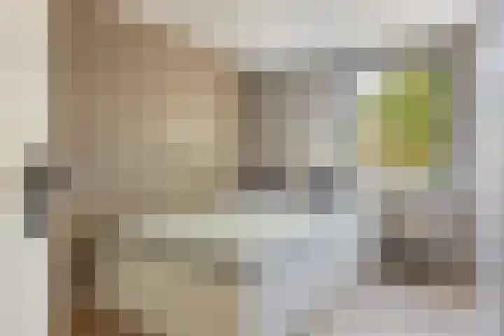 Het Schut 73 Schoonebeek thumbnail 34