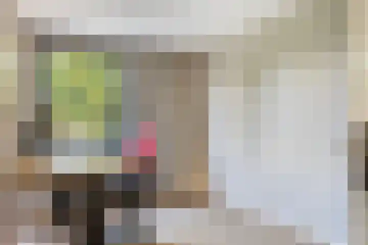 Het Schut 73 Schoonebeek thumbnail 36