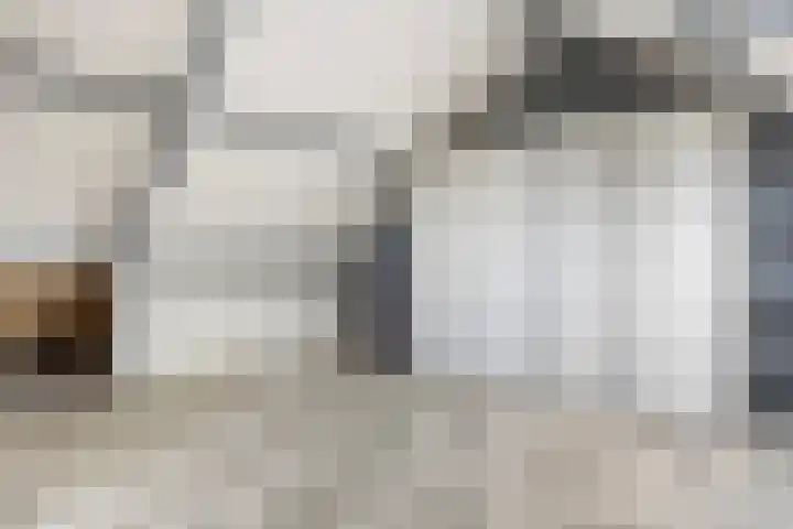 Het Schut 73 Schoonebeek thumbnail 39