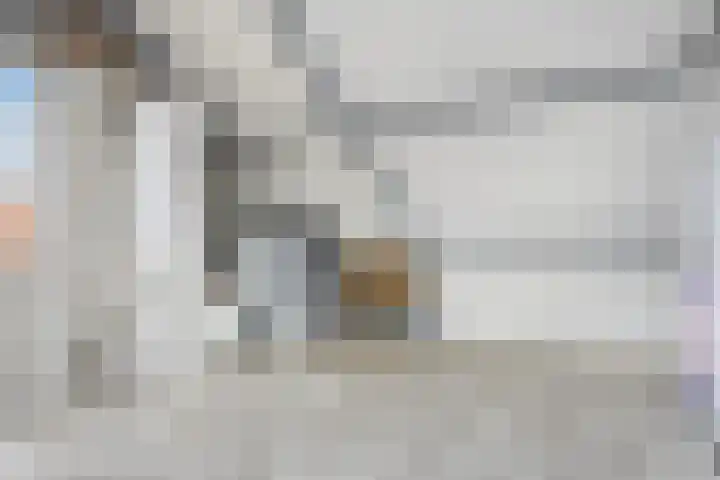 Het Schut 73 Schoonebeek thumbnail 40