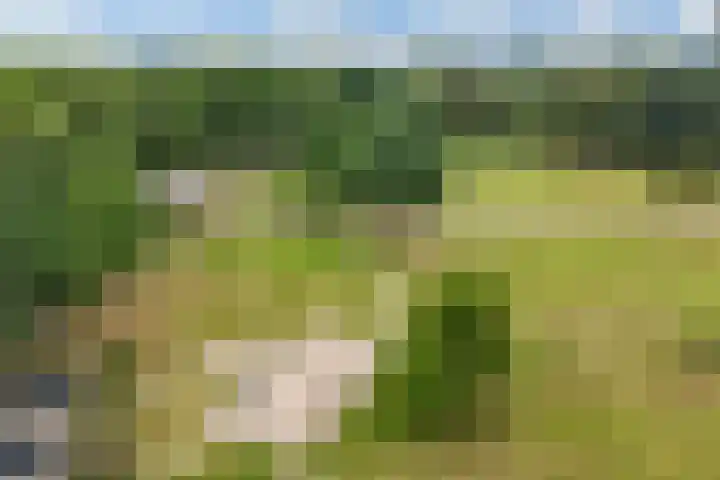 Het Schut 73 Schoonebeek thumbnail 42