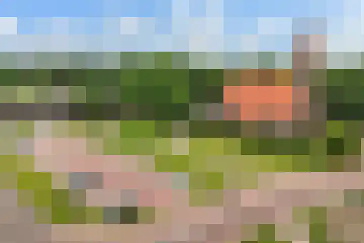 Het Schut 73 Schoonebeek thumbnail 45