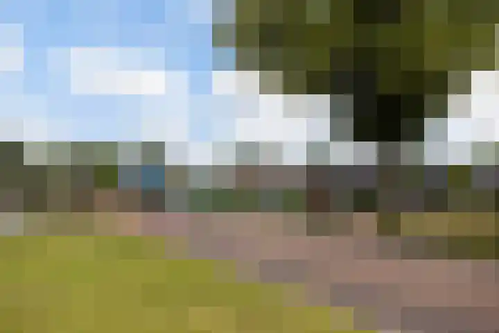 Het Schut 73 Schoonebeek thumbnail 46