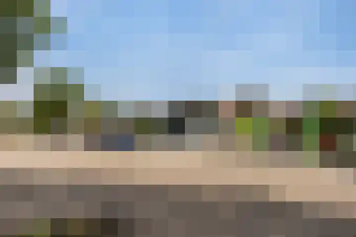 Het Schut 73 Schoonebeek thumbnail 48