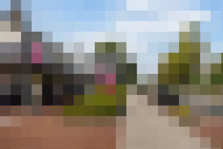 Het Schut 73 Schoonebeek thumbnail 49