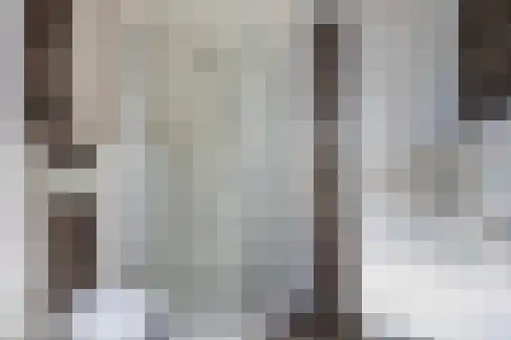 Het Schut 73 Schoonebeek thumbnail 5