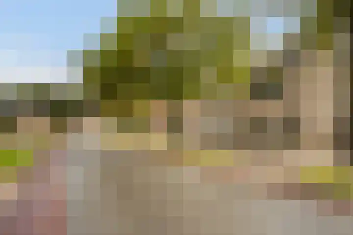 Het Schut 73 Schoonebeek thumbnail 8