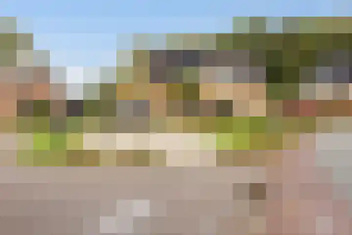 Het Schut 73 Schoonebeek thumbnail 9