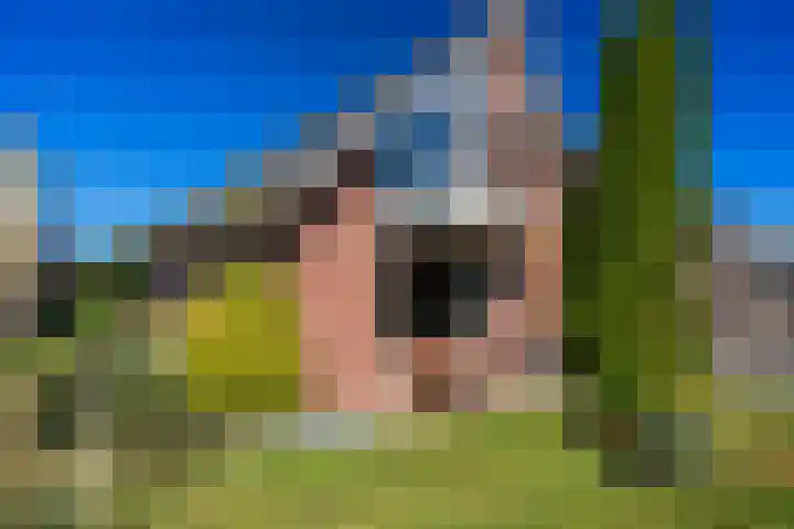 Het Slag 3 Zwartemeer